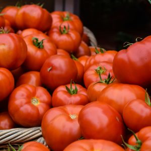 Tomato Fresh Vegetable