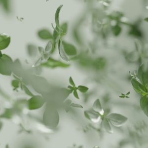 shahid-hafiz-1xi7Ly-Nokw-unsplash